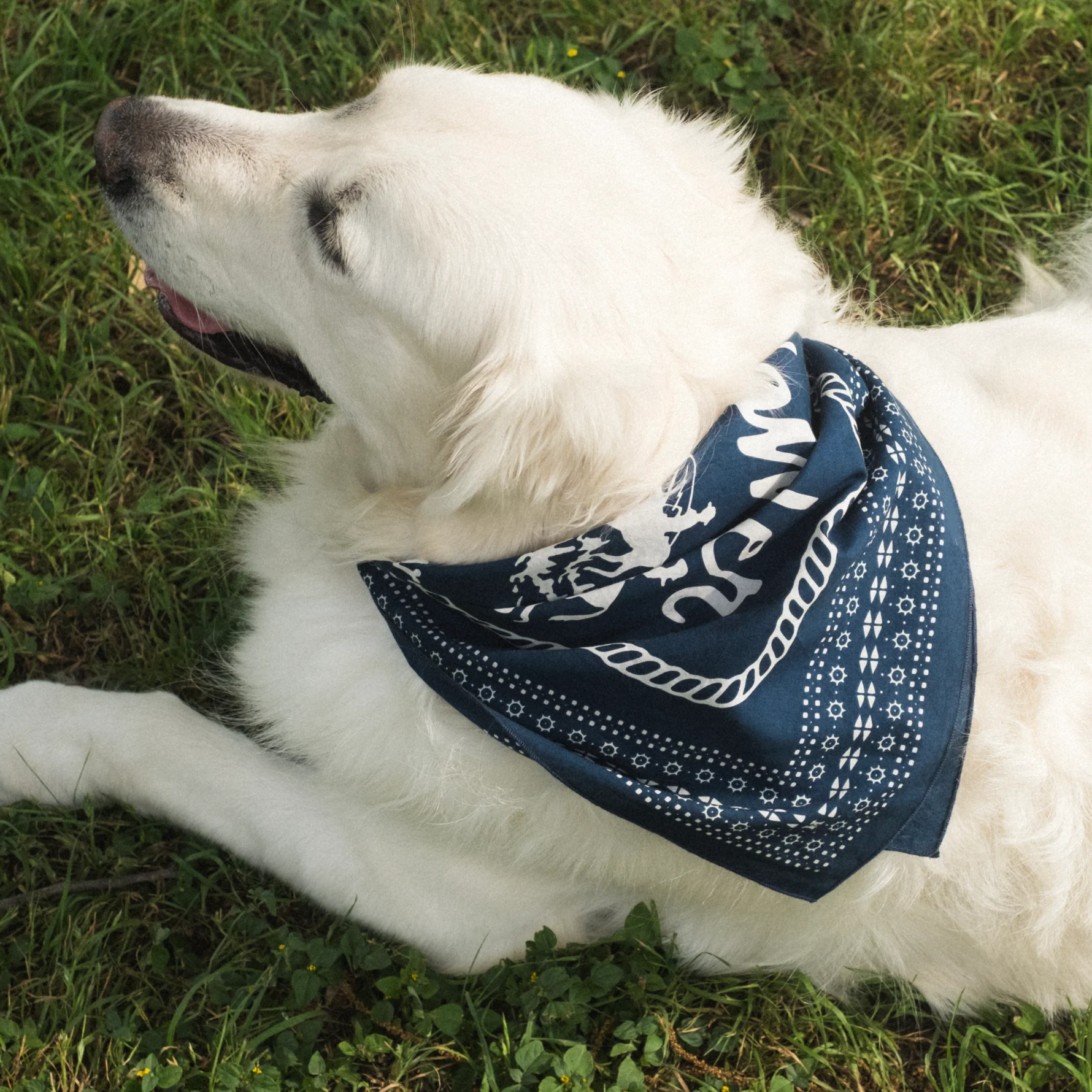 Howler Posse Bandana - Image 2