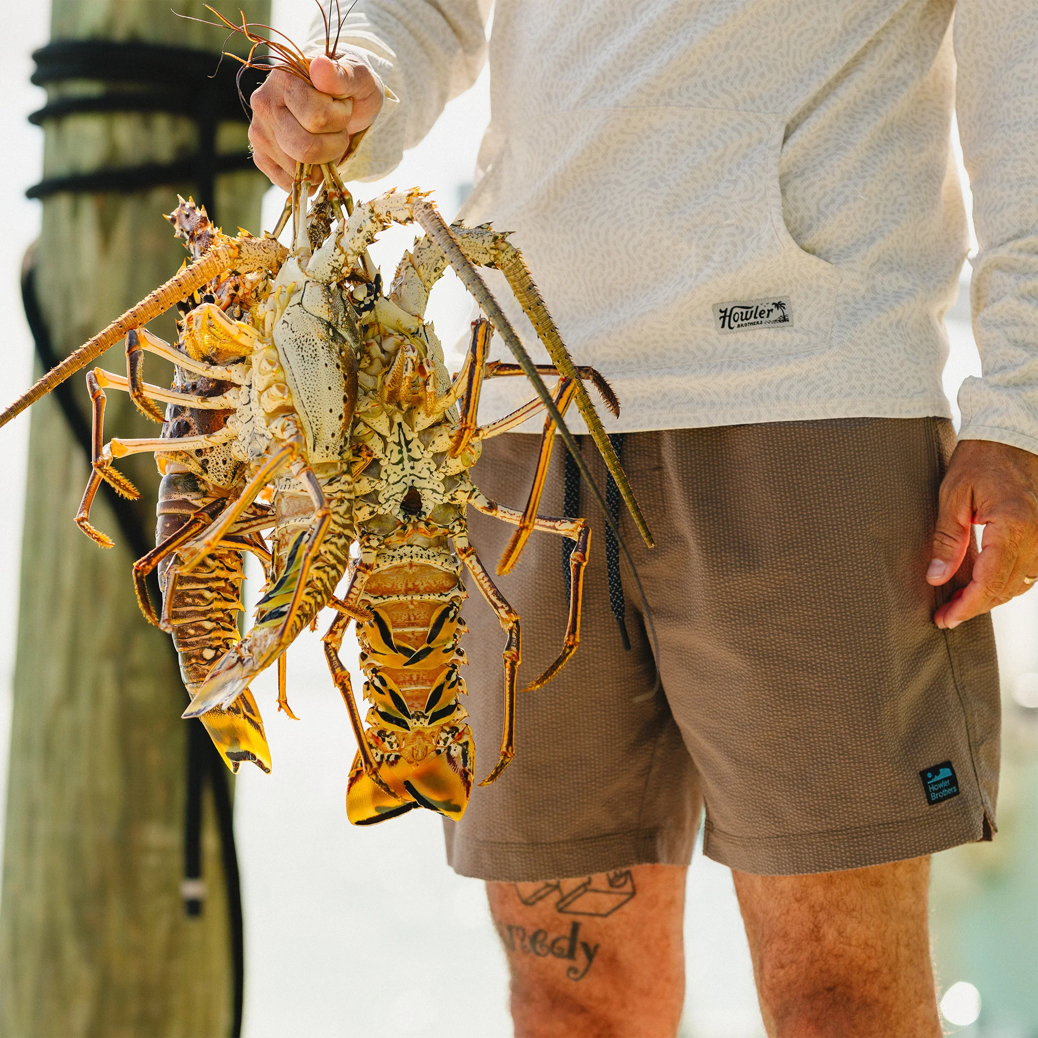 Loggerhead Hoodie - Pond Patterns : Bone - Image 7